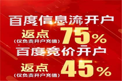 百度推广实战攻略：案例与技巧